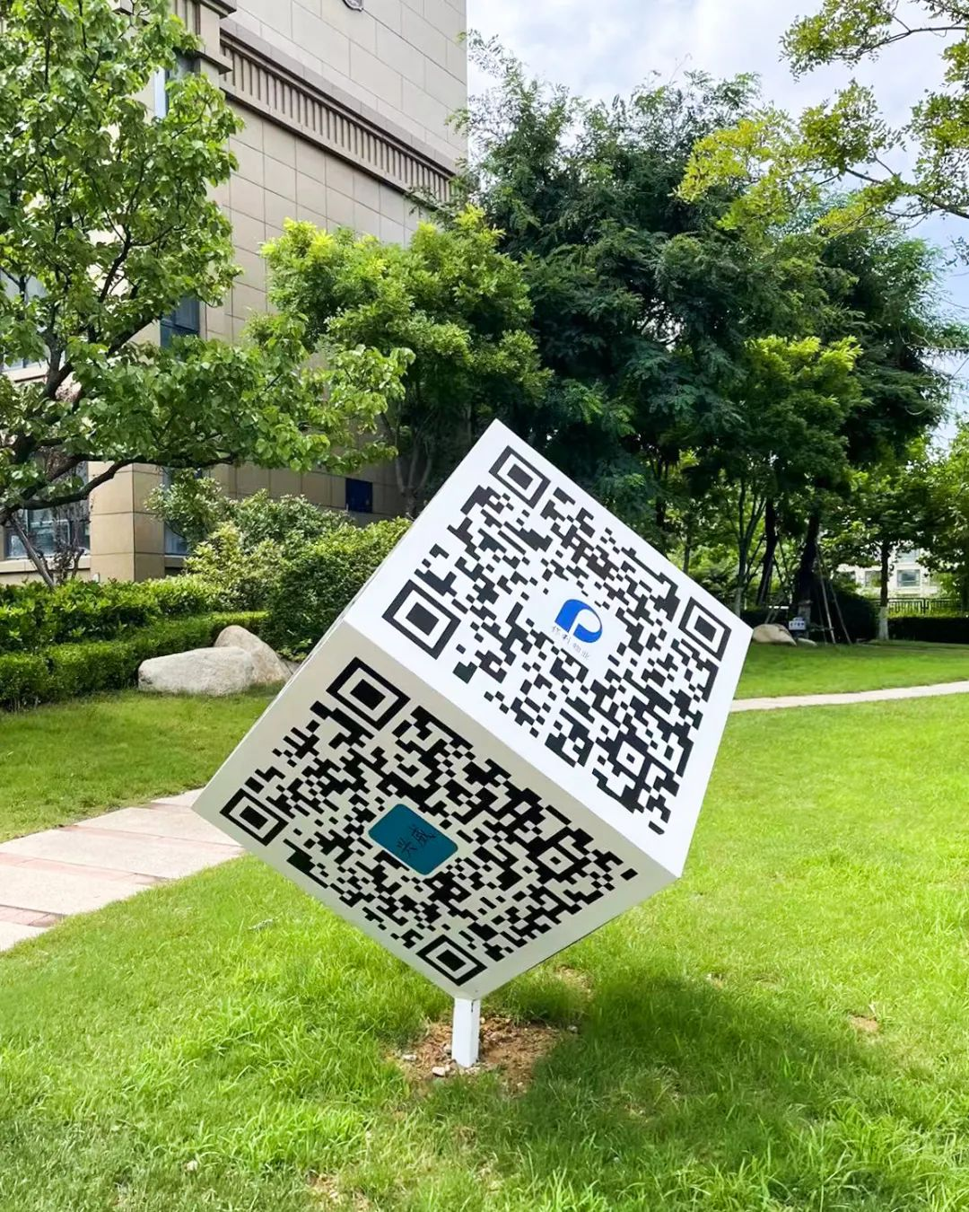 图片5