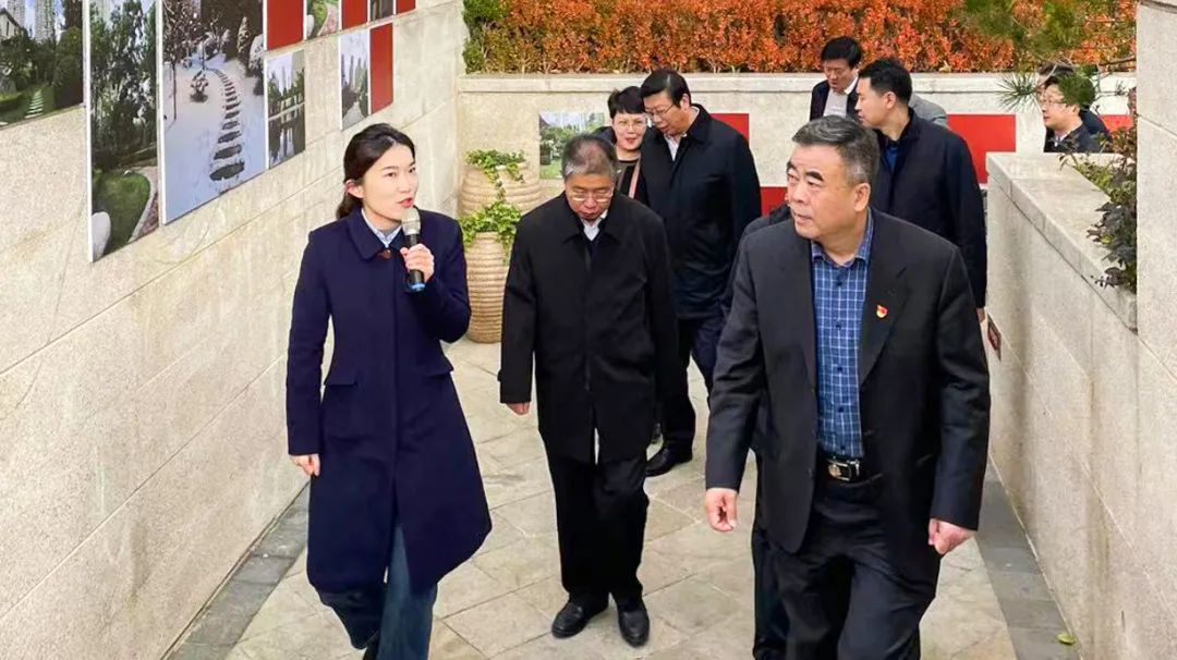 图片7